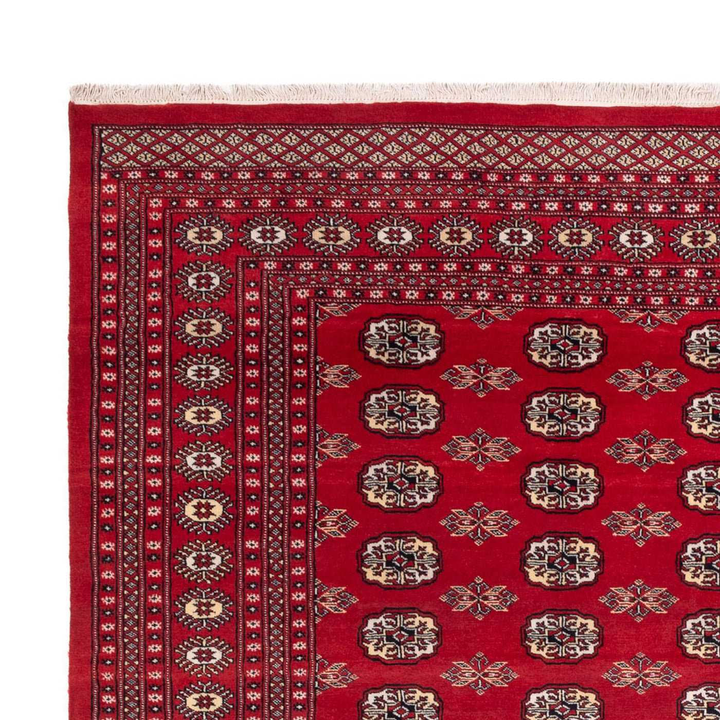 Buchara Teppich 307x247cm - Orientteppich