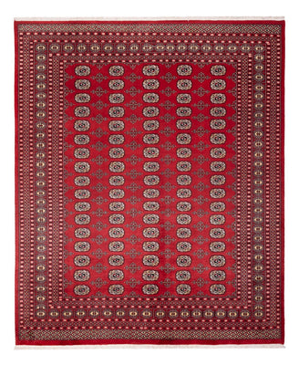 Afghan Teppich - Buchara - 298 x 243 cm - rot