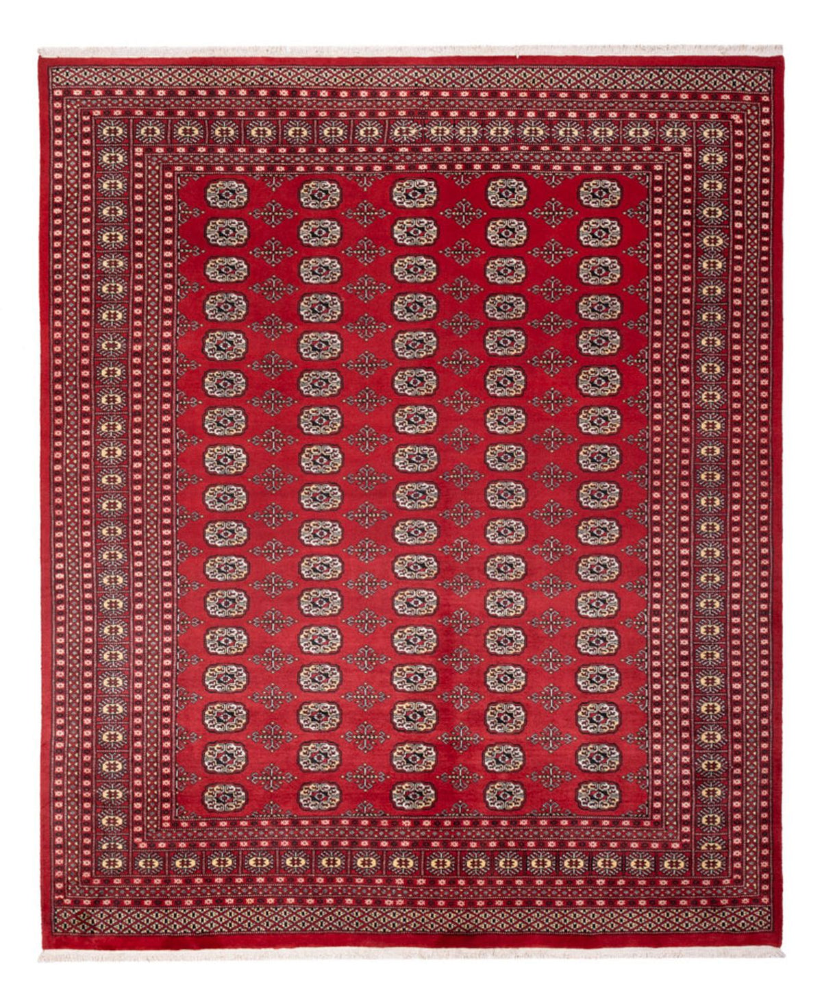 Afghan Teppich - Buchara - 298 x 243 cm - rot