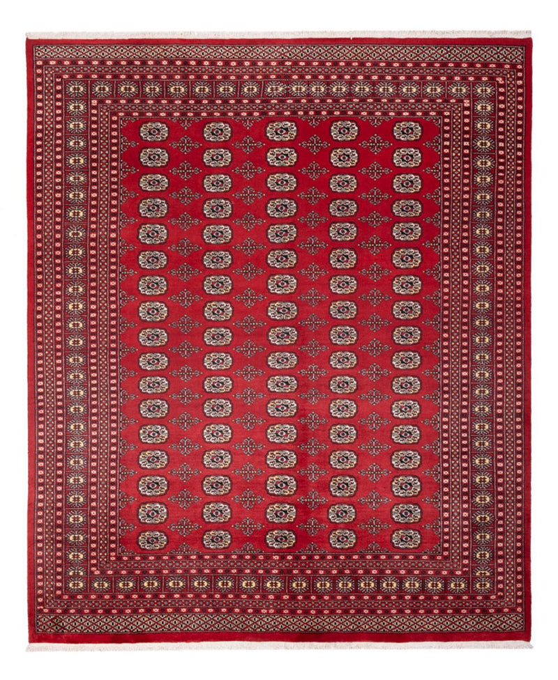 Afghan Teppich - Buchara - 298 x 243 cm - rot