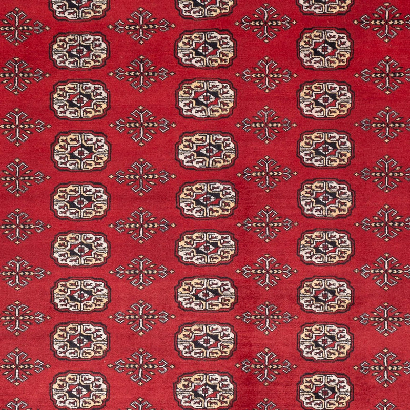 Afghan Teppich - Buchara - 298 x 243 cm - rot