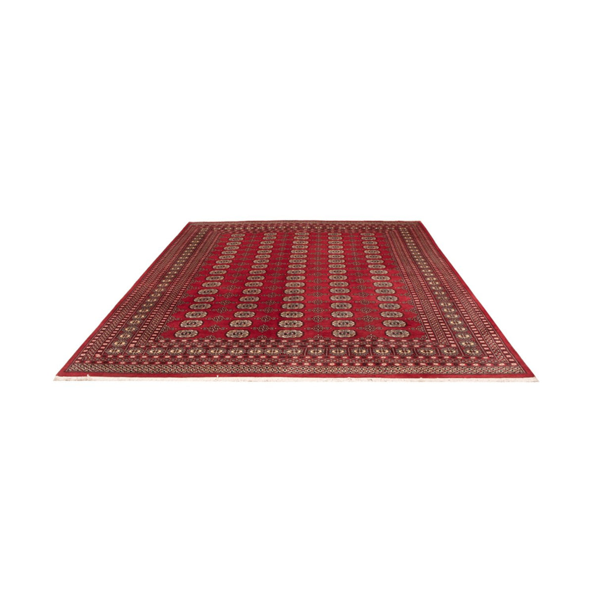 Afghan Teppich - Buchara - 298 x 243 cm - rot