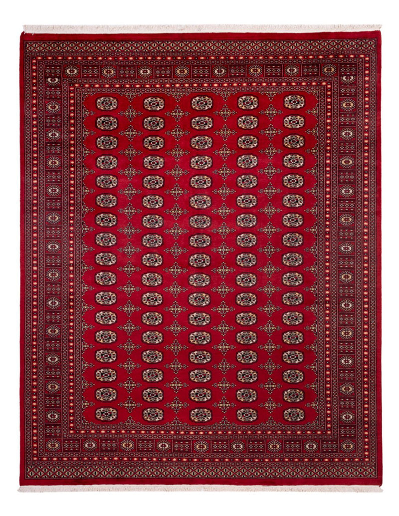 Afghan Teppich - Buchara - 308 x 243 cm - rot