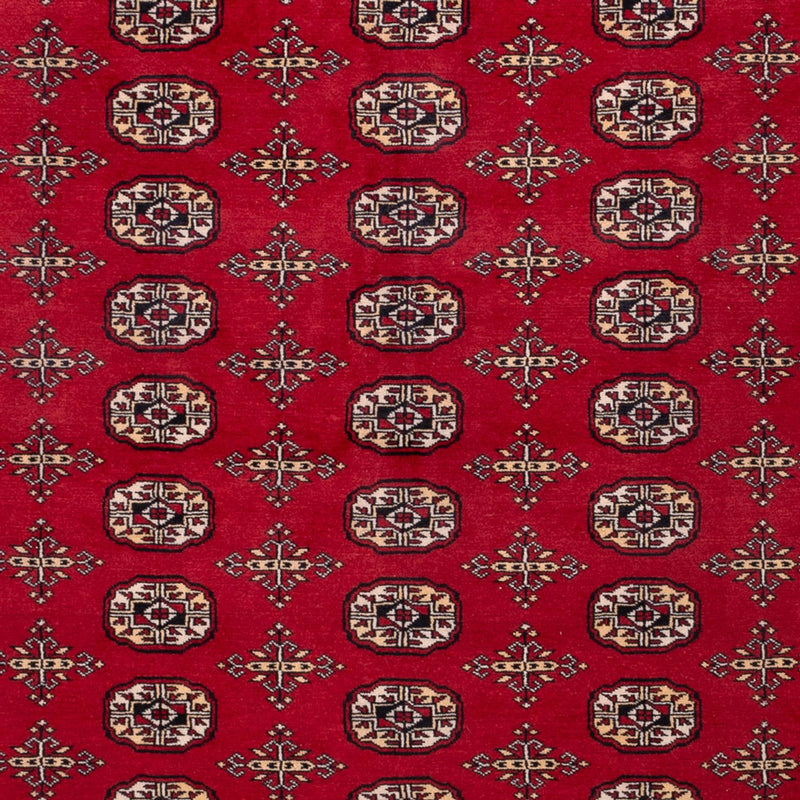 Afghan Teppich - Buchara - 308 x 243 cm - rot