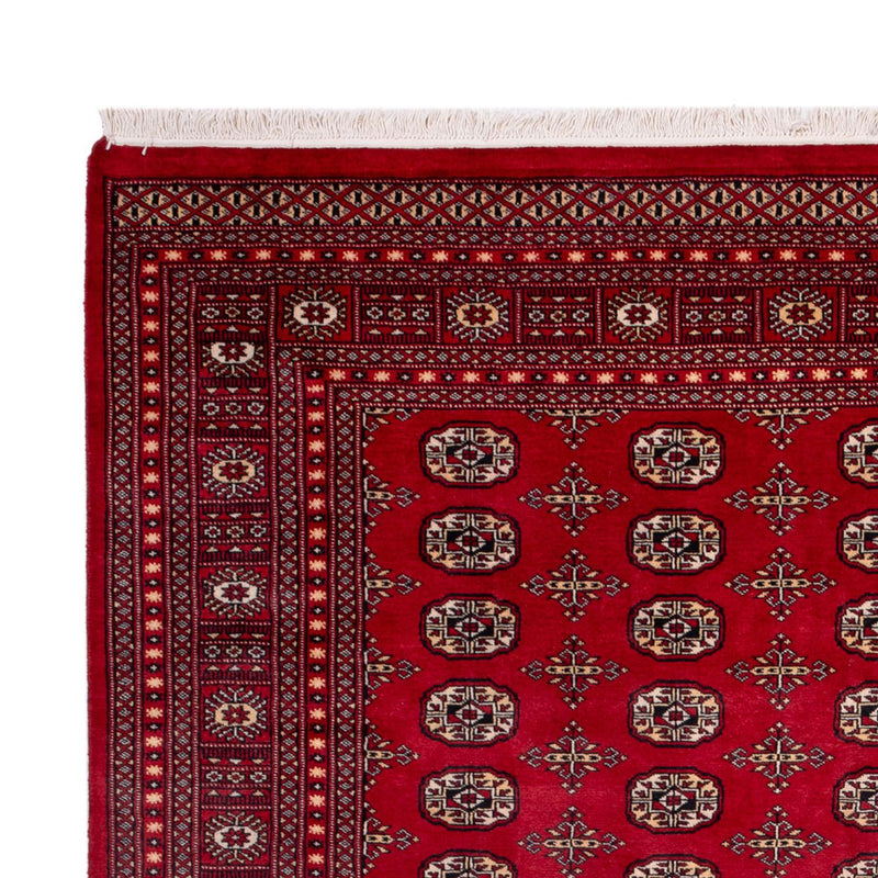 Afghan Teppich - Buchara - 308 x 243 cm - rot