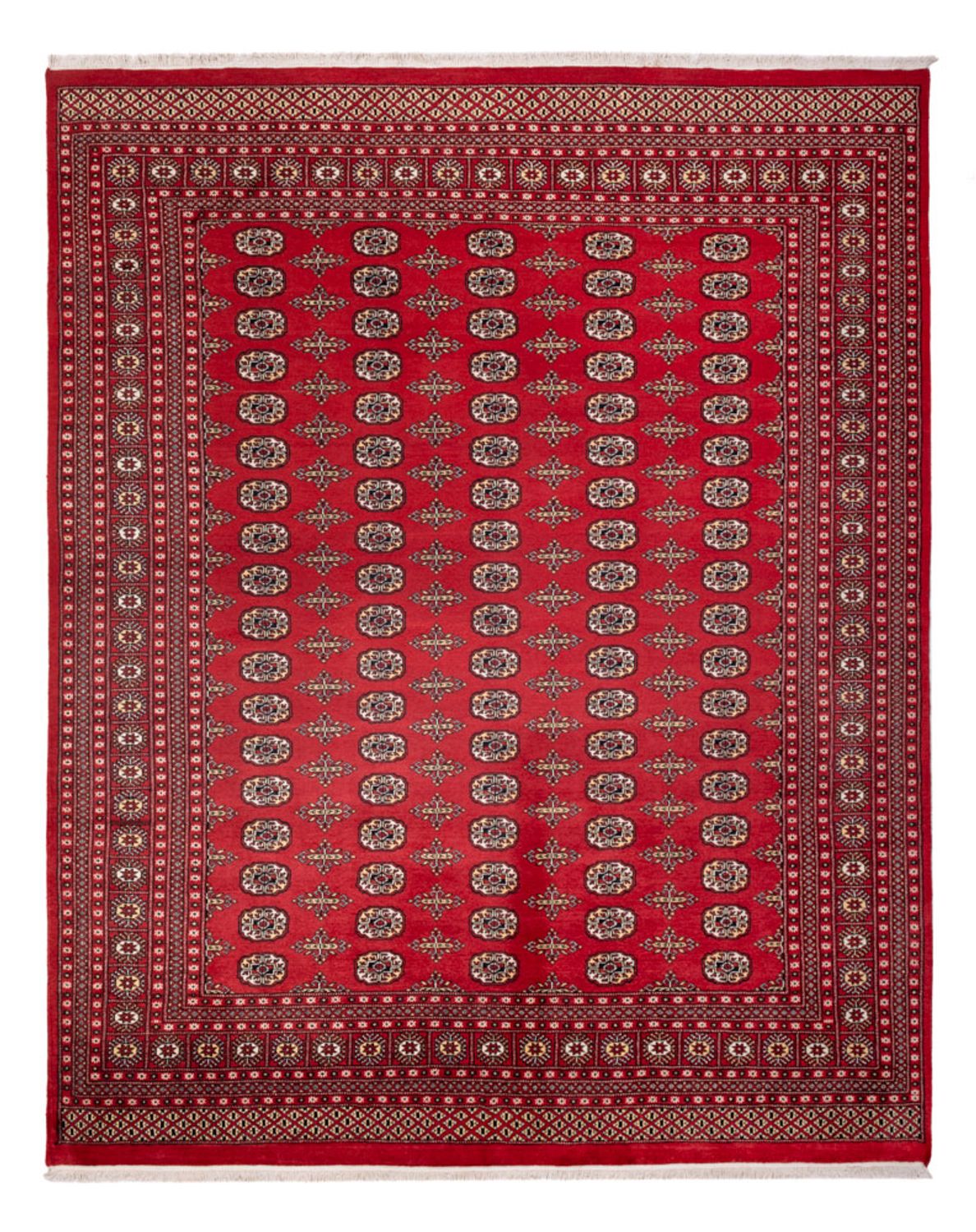 Afghan Teppich - Buchara - 312 x 244 cm - rot