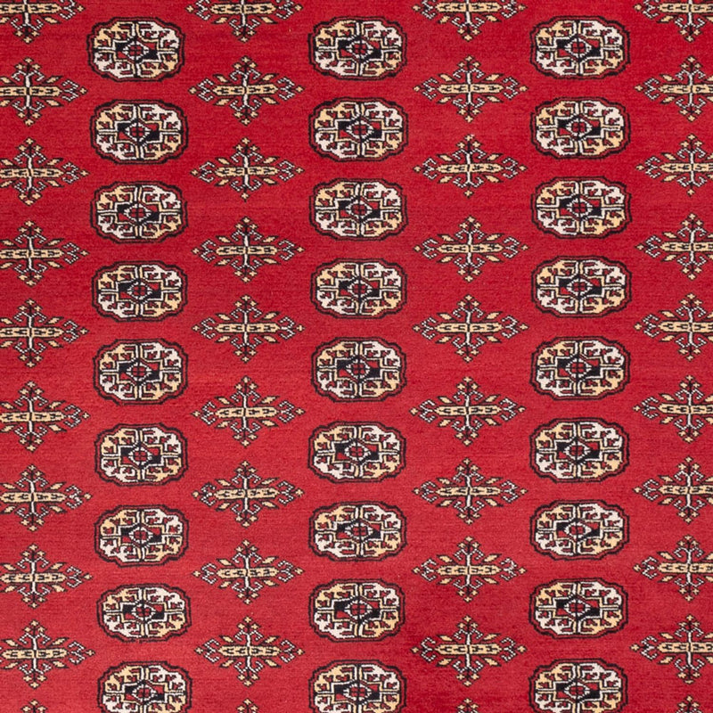 Afghan Teppich - Buchara - 312 x 244 cm - rot