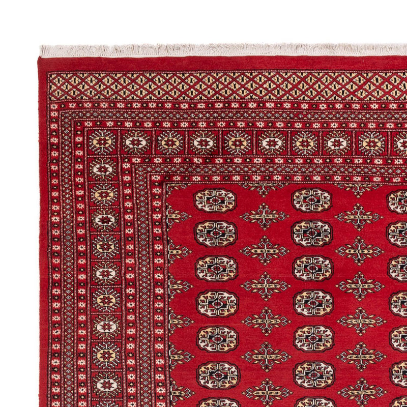 Afghan Teppich - Buchara - 312 x 244 cm - rot