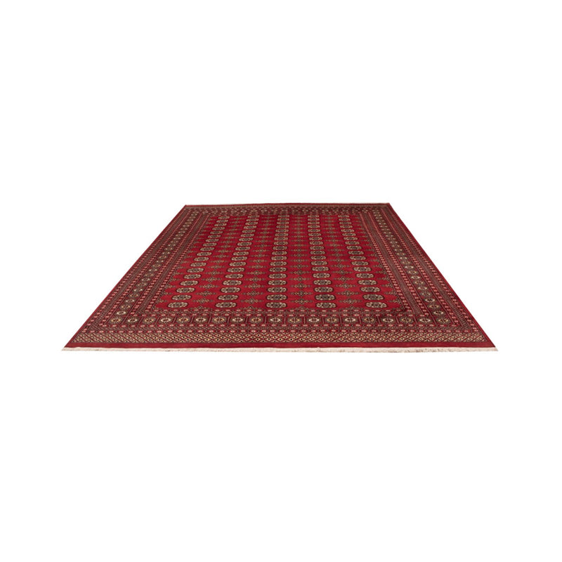 Afghan Teppich - Buchara - 312 x 244 cm - rot