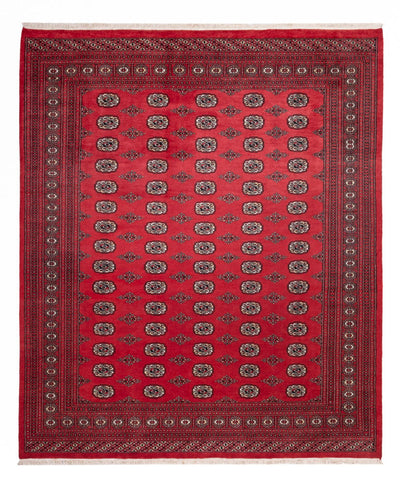 Buchara Teppich 246x305cm - Orientteppich