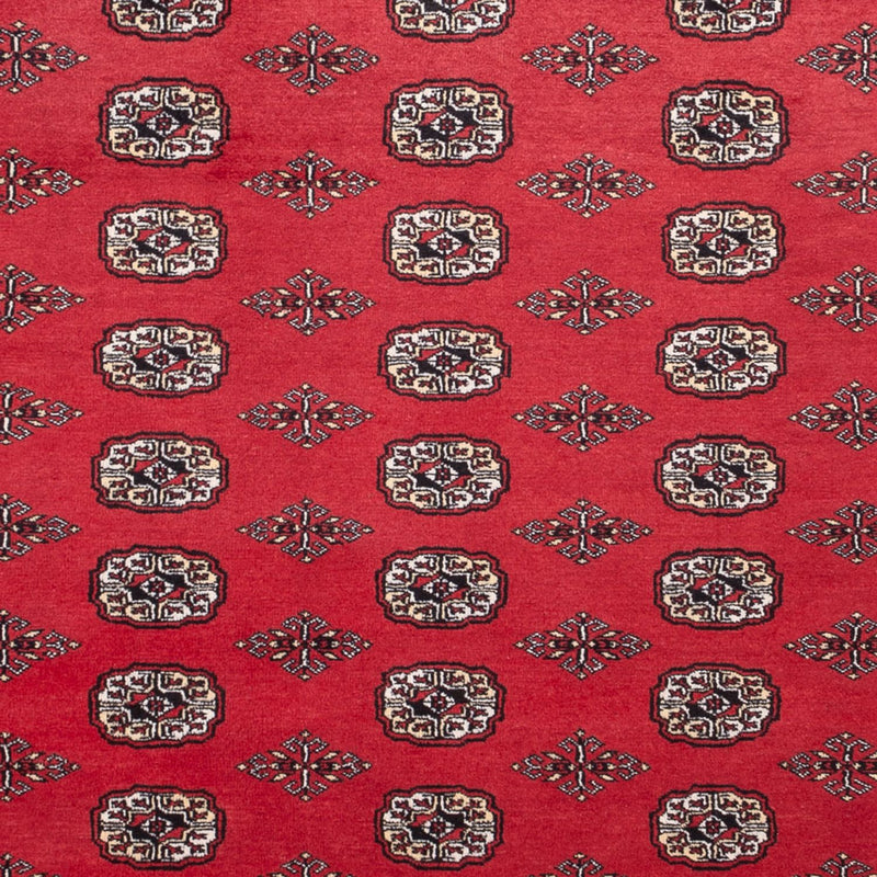 Afghan Teppich - Buchara - 305 x 246 cm - rot
