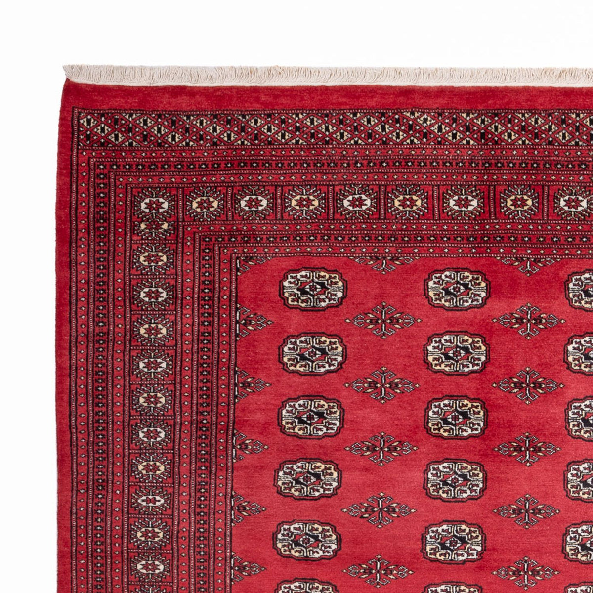 Afghan Teppich - Buchara - 305 x 246 cm - rot