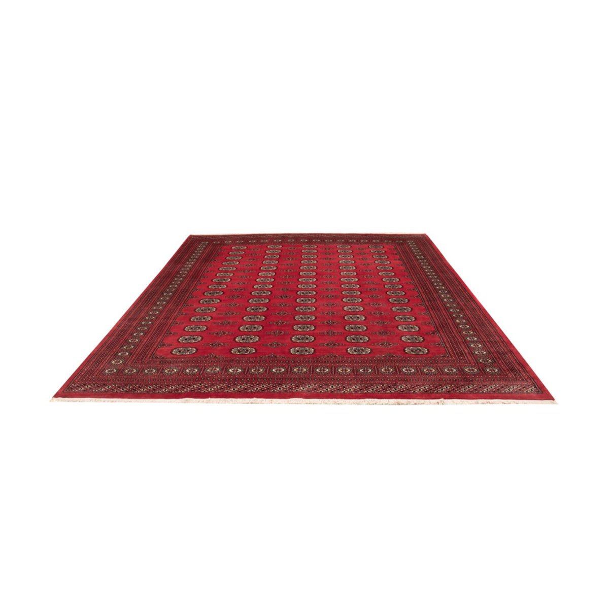 Afghan Teppich - Buchara - 305 x 246 cm - rot