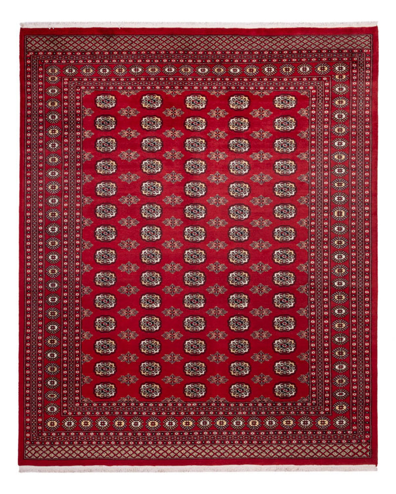 Afghan Teppich - Buchara - 301 x 245 cm - rot