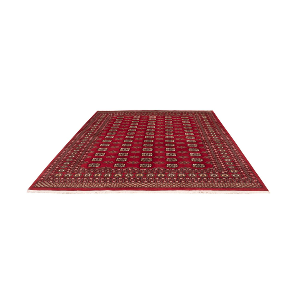 Afghan Teppich - Buchara - 301 x 245 cm - rot