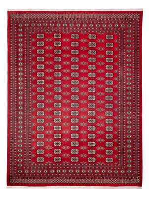 Afghan Teppich - Buchara - 314 x 243 cm - rot