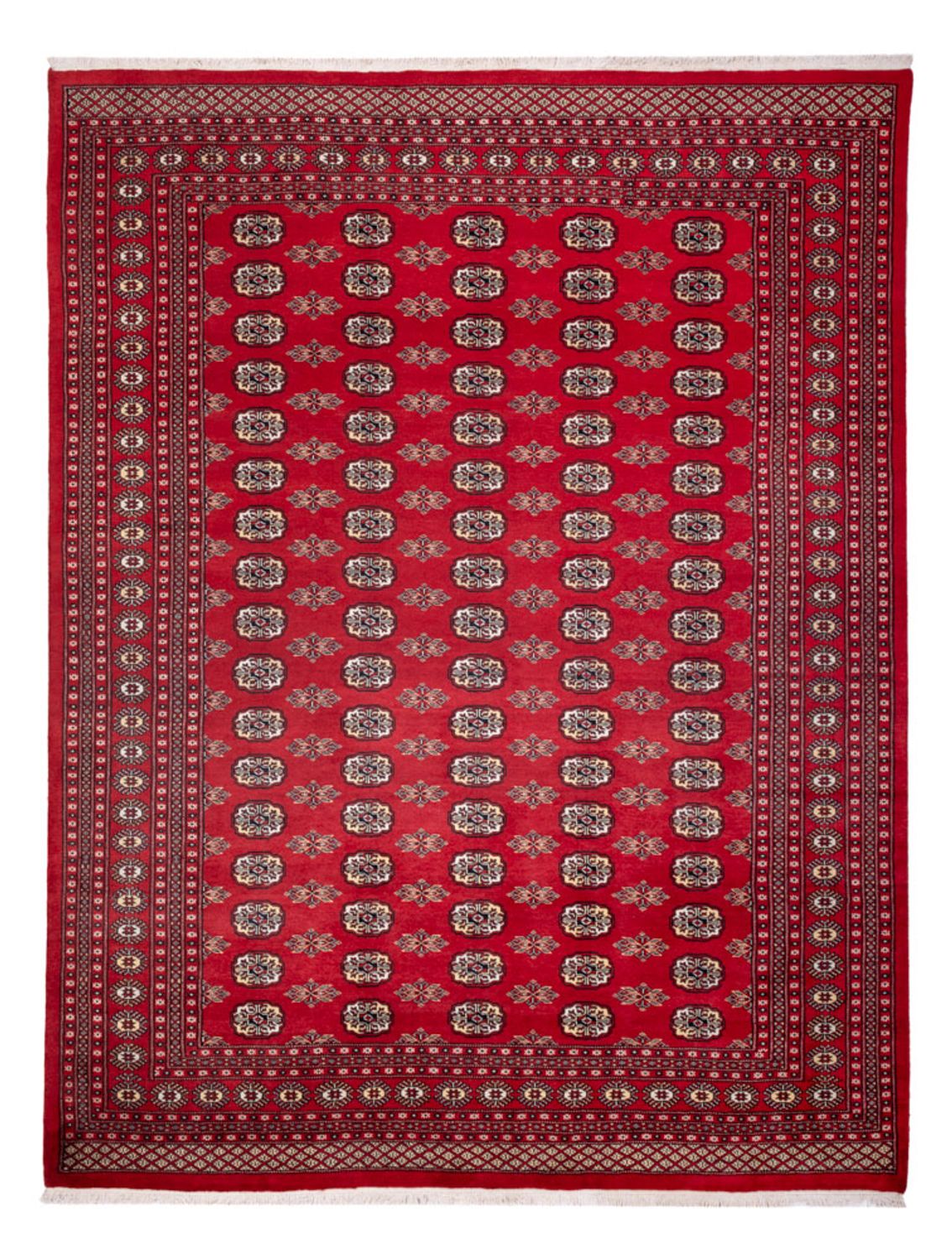 Afghan Teppich - Buchara - 314 x 243 cm - rot