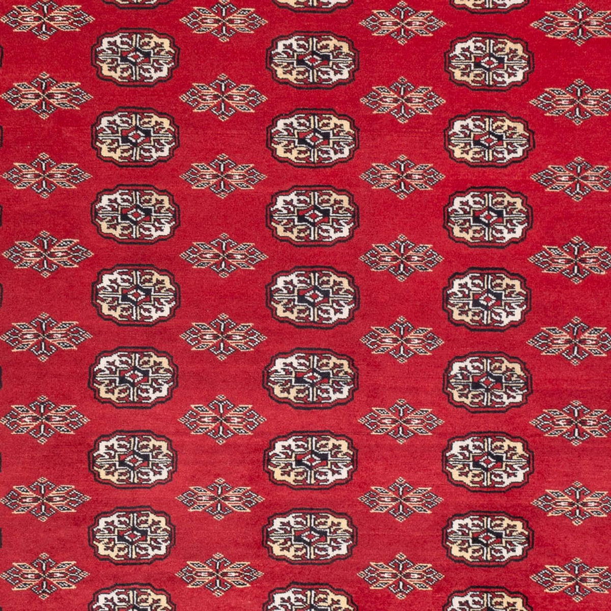Afghan Teppich - Buchara - 314 x 243 cm - rot