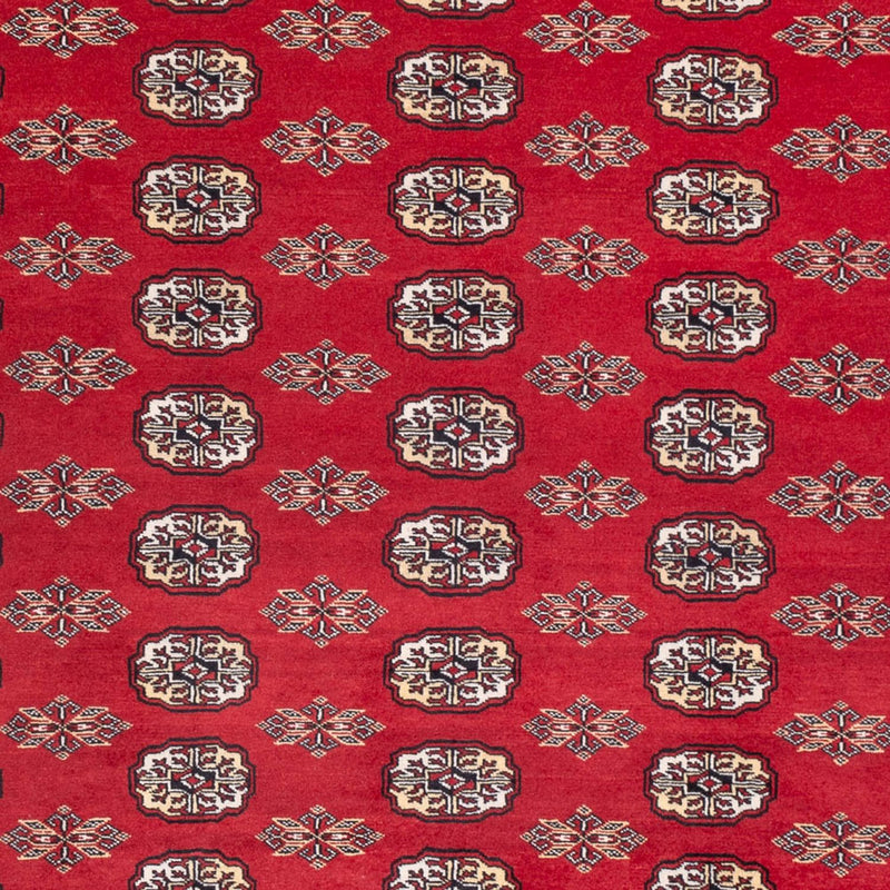 Afghan Teppich - Buchara - 314 x 243 cm - rot