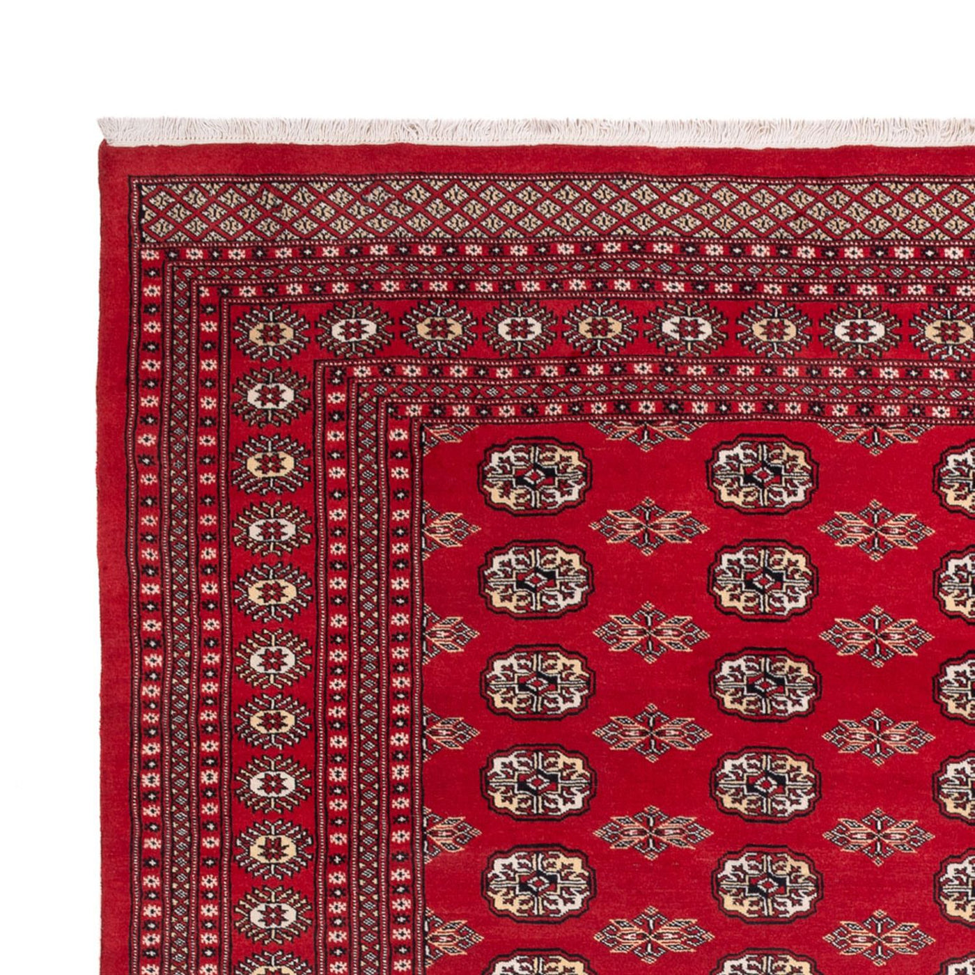 Buchara Teppich 314x243cm - Orientteppich