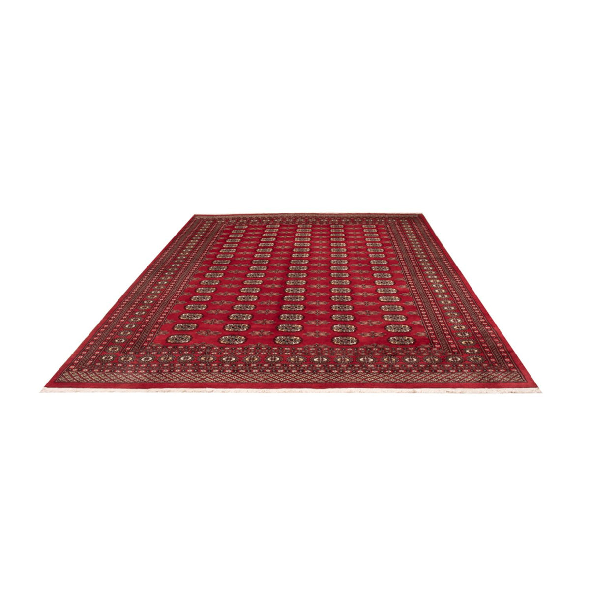 Afghan Teppich - Buchara - 314 x 243 cm - rot