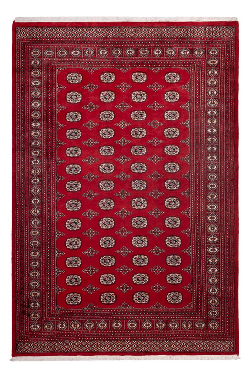 Afghan Teppich - Buchara - 290 x 200 cm - rot