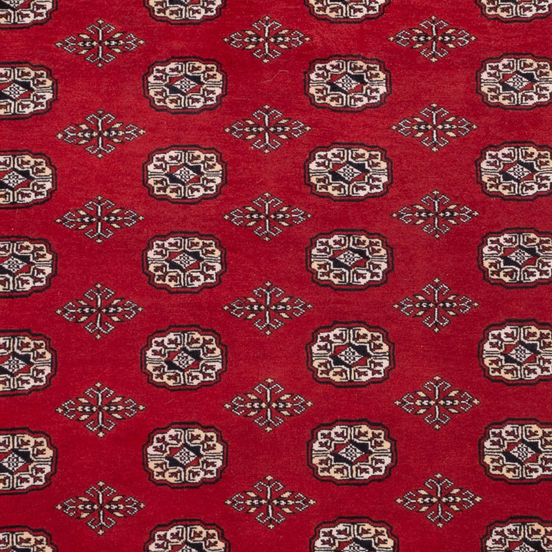 Afghan Teppich - Buchara - 290 x 200 cm - rot