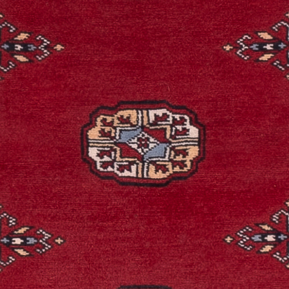 Läufer Pakistan - 247 x 77 cm - rot