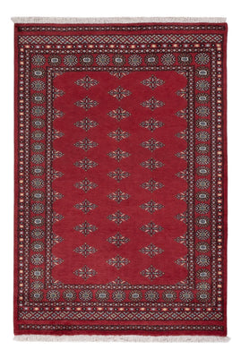Pakistan Teppich - 203 x 137 cm - rot