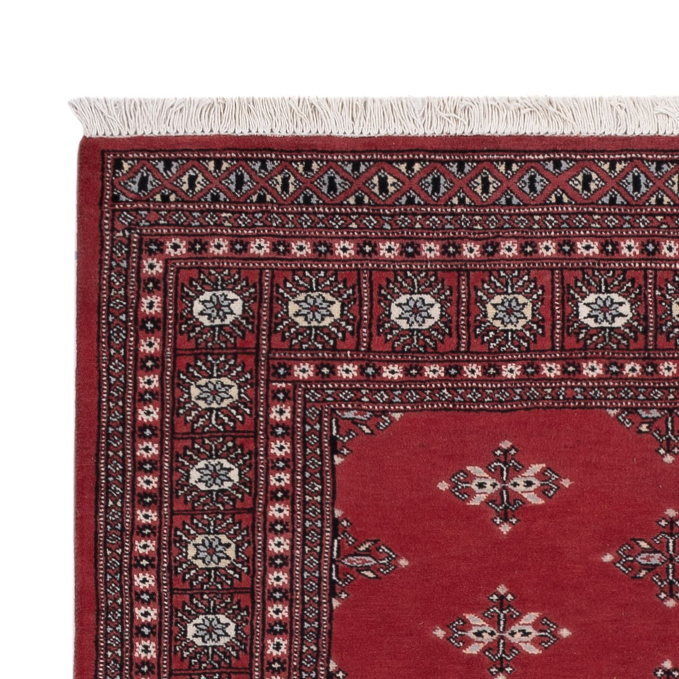Pakistan Teppich 199x140cm - Orientteppich