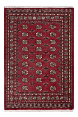 Pakistan Teppich - 204 x 141 cm - rot