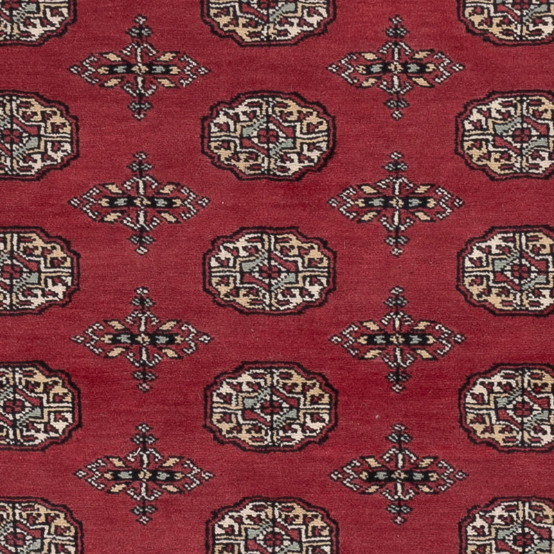 Pakistan Teppich - 199 x 140 cm - rot