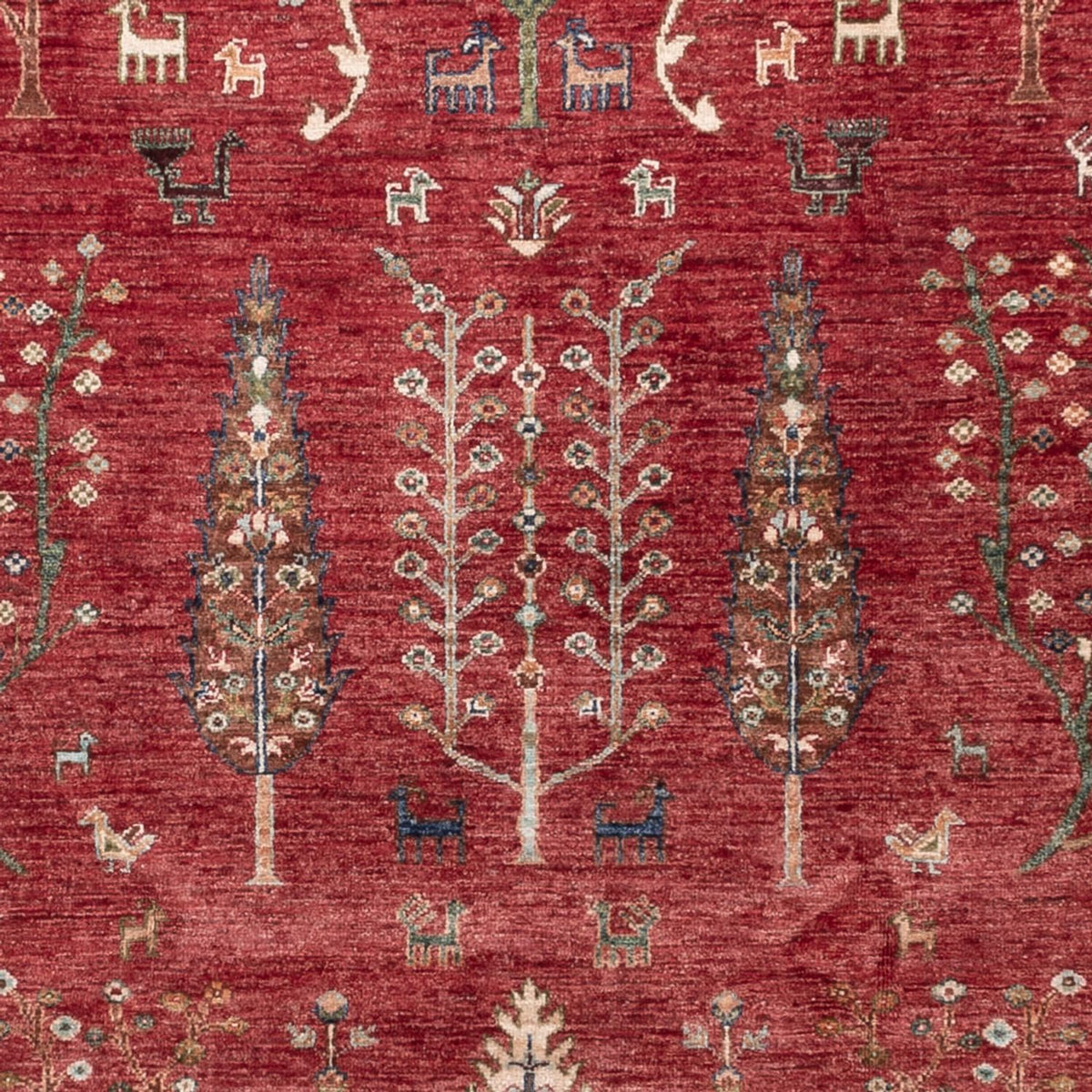 Ziegler Teppich - Ariana - 301 x 210 cm - rot