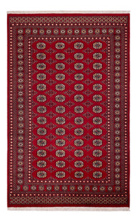 Pakistan Teppich - 256 x 167 cm - rot