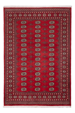 Pakistan Teppich - 243 x 168 cm - rot