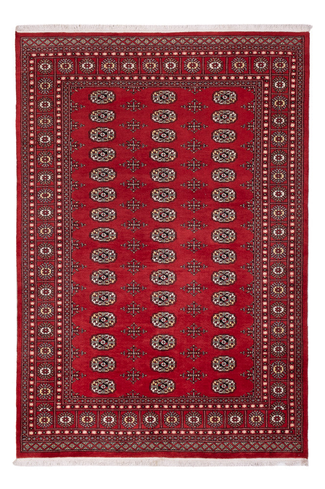 Pakistan Teppich - 243 x 168 cm - rot