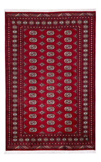 Pakistan Teppich - 241 x 154 cm - rot