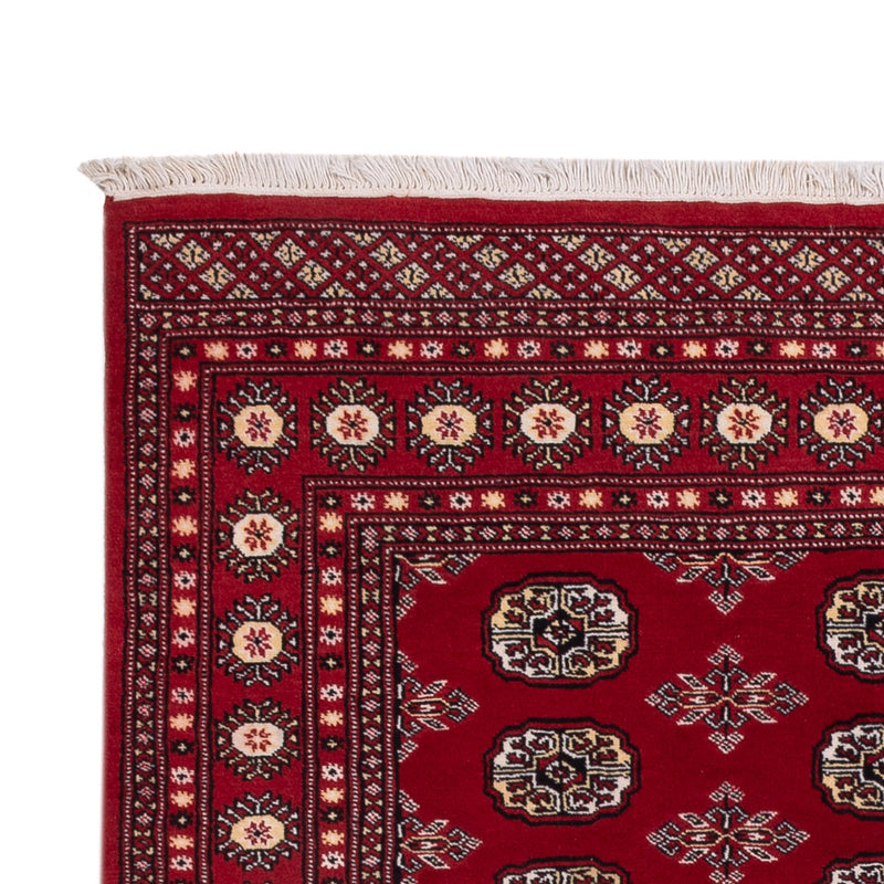 Pakistan Teppich - 244 x 154 cm - rot