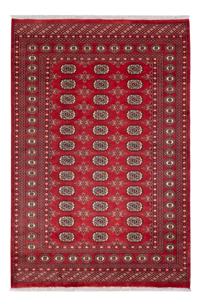 Pakistan Teppich - 237 x 158 cm - rot