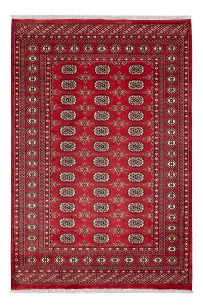 Pakistan Teppich 158x237cm - Orientteppich