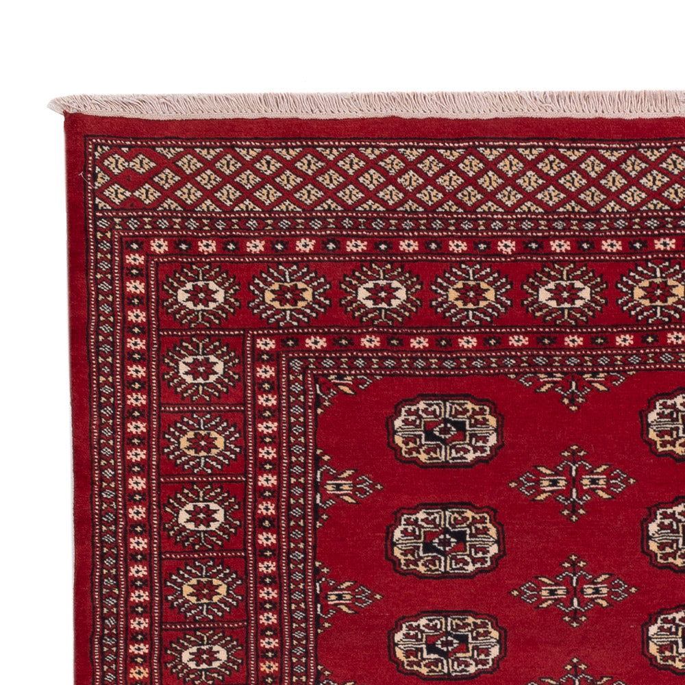 Pakistan Teppich 240x171cm - Orientteppich