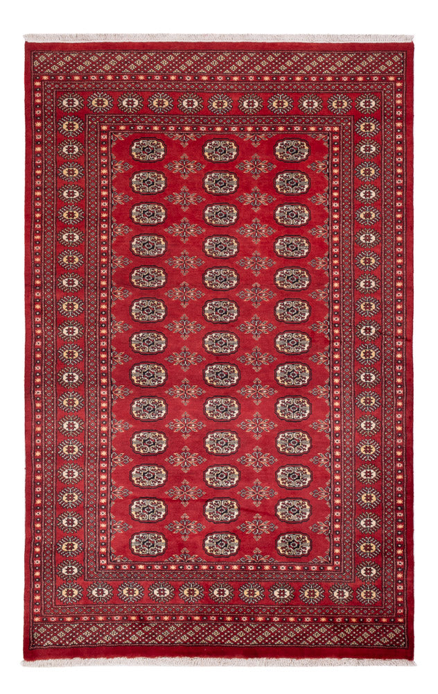 Pakistan Teppich - 250 x 159 cm - rot