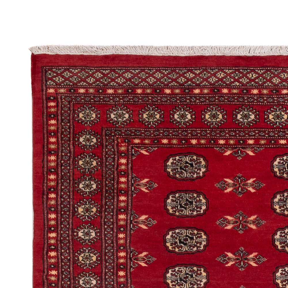 Pakistan Teppich 231x172cm - Orientteppich