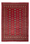 Pakistan Teppich - 245 x 170 cm - rot
