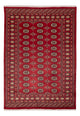 Pakistan Teppich 245x170cm - Orientteppich