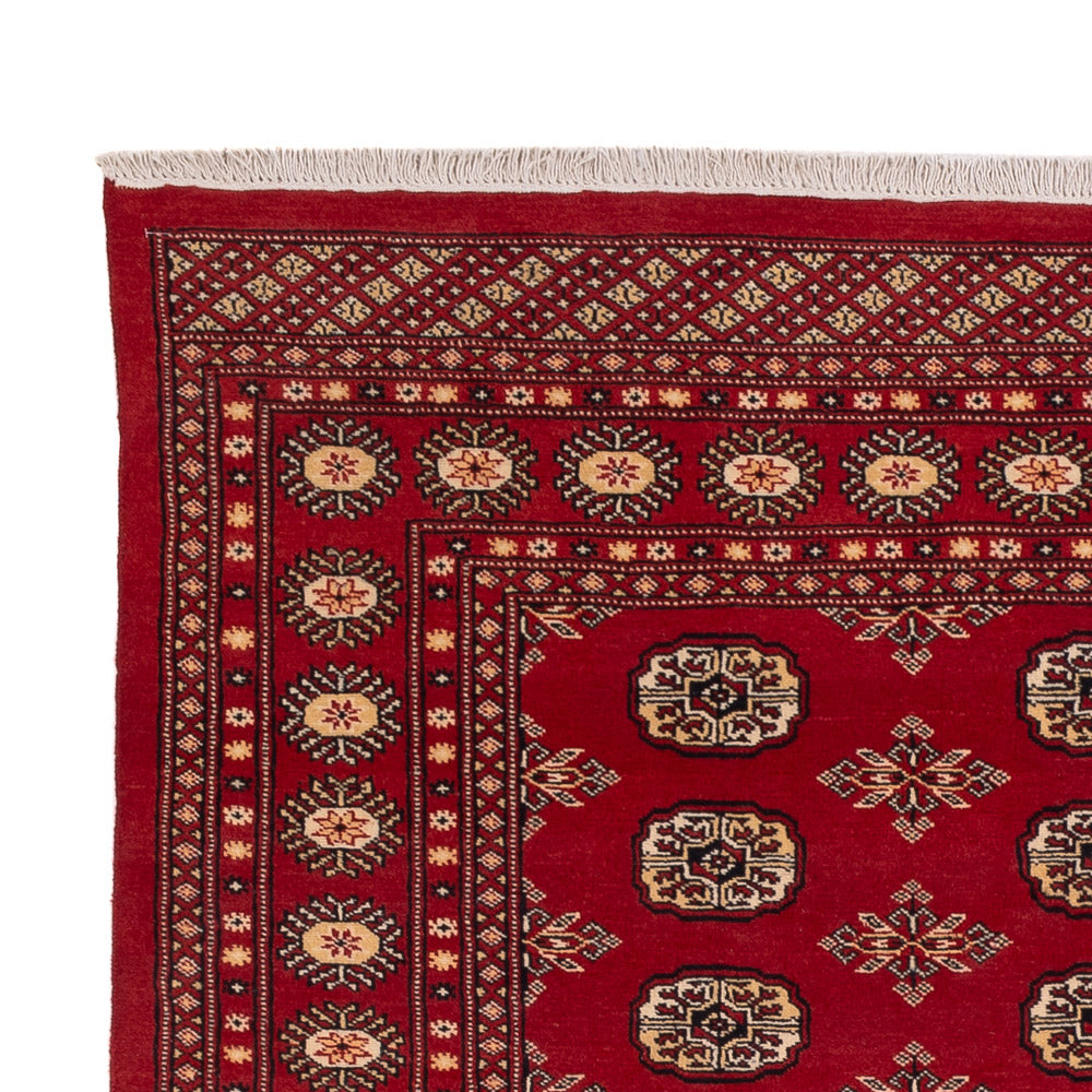 Pakistan Teppich 245x170cm - Orientteppich