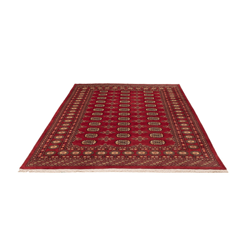 Pakistan Teppich - 245 x 170 cm - rot
