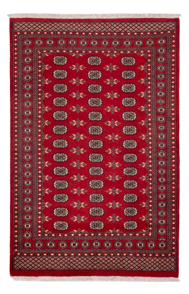 Pakistan Teppich - 258 x 179 cm - rot