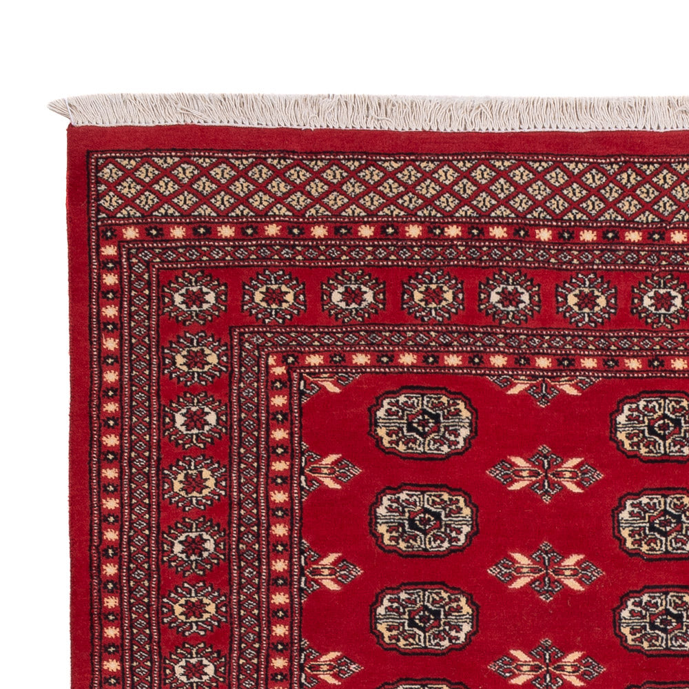 Pakistan Teppich 258x179cm - Orientteppich