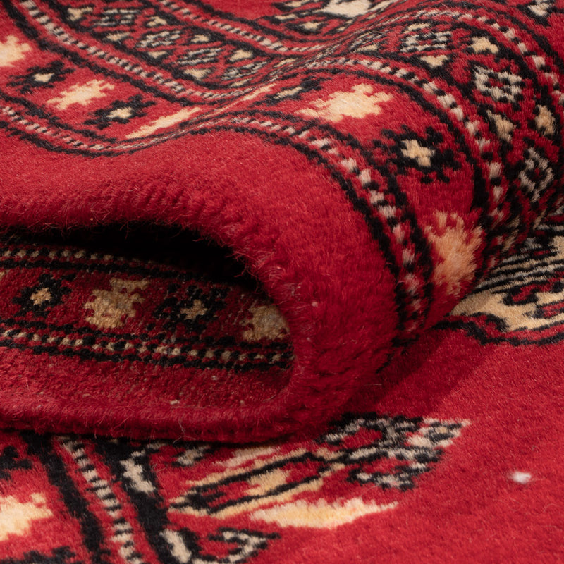 Pakistan Teppich - 258 x 179 cm - rot